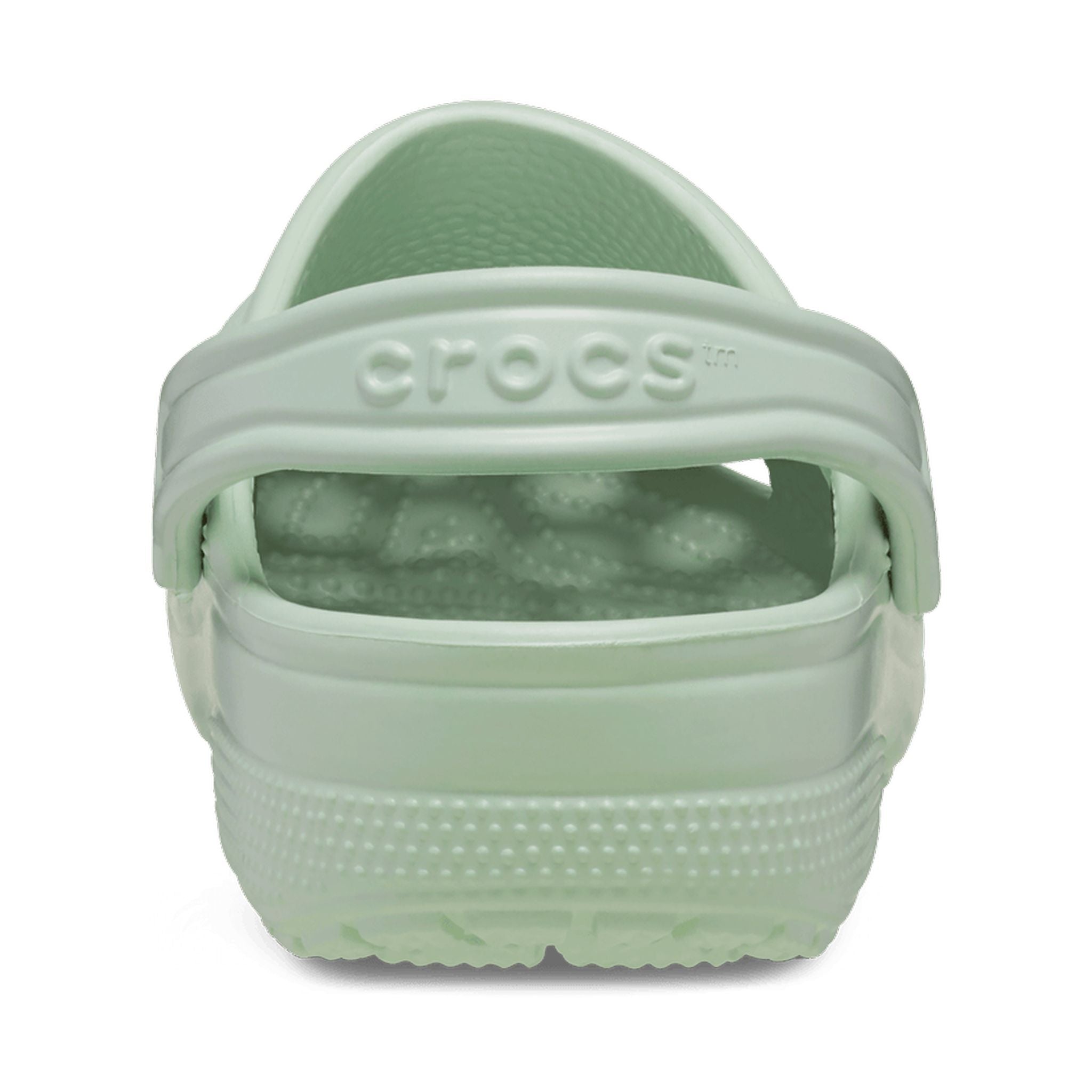 Crocs Classic Clog Plaster