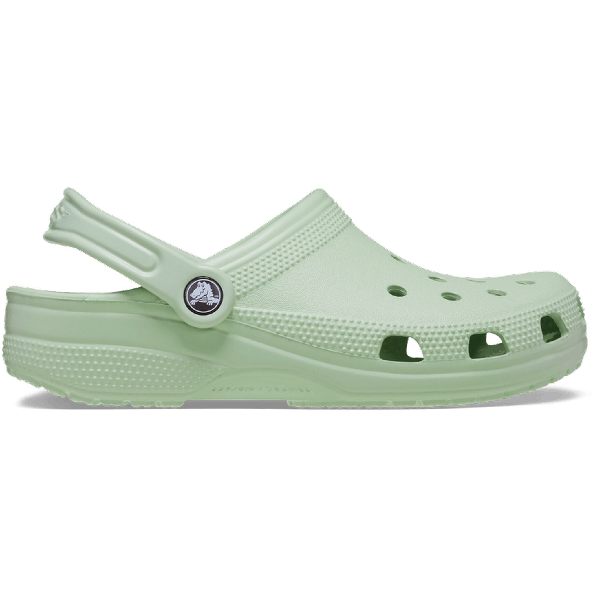Crocs Classic Clog Plaster