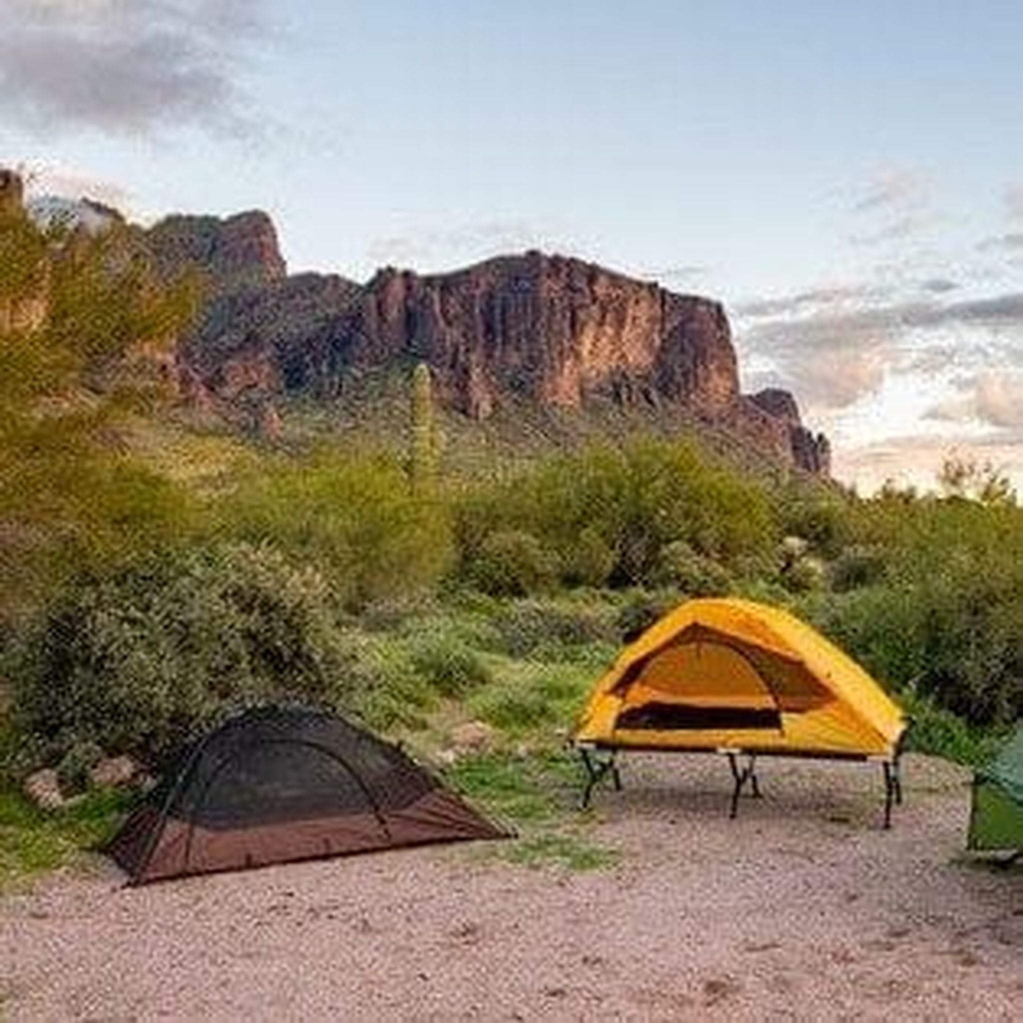 Teton Sports Vista 2-Person Quick Tent in Brown – Compleat Angler Australia