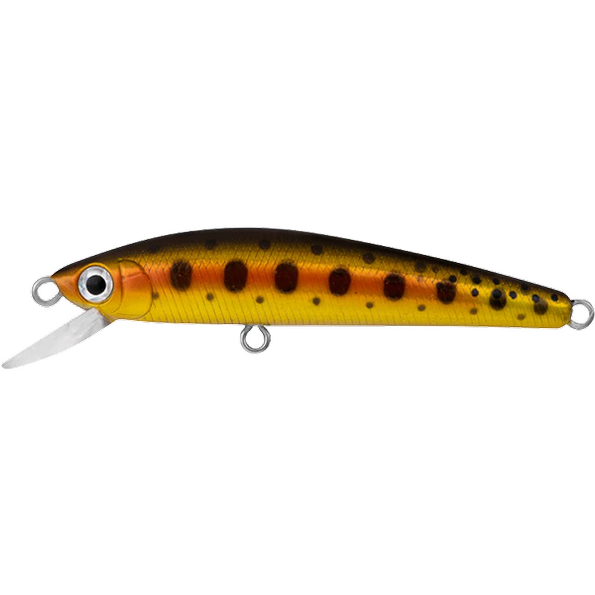 Daiwa SilverCreek Minnow 60F Hard Body Lure