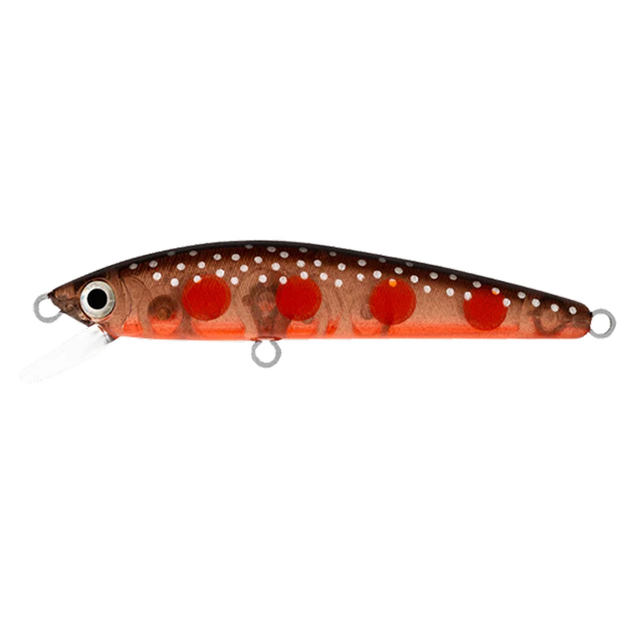 Daiwa SilverCreek Minnow 60F Hard Body Lure