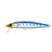 Sardine