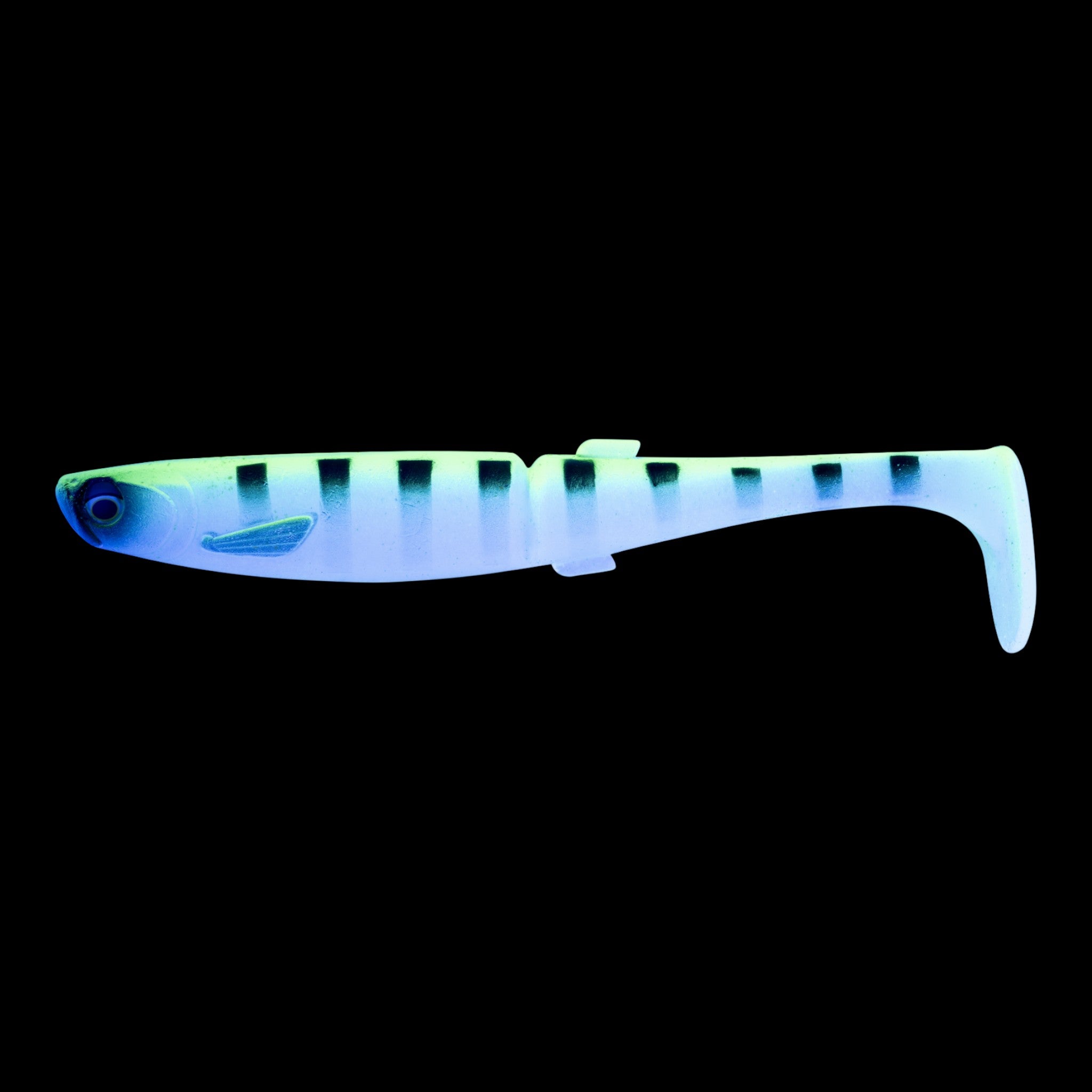 Daiwa Bait Junkie 6.5