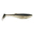 Baitfish