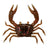 Bloodworm UV