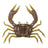 Ghost Crab