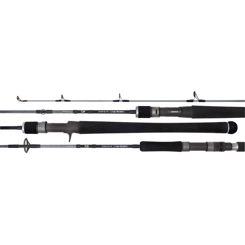 Daiwa 20 TD SALTWATER BJ66-3 6'6