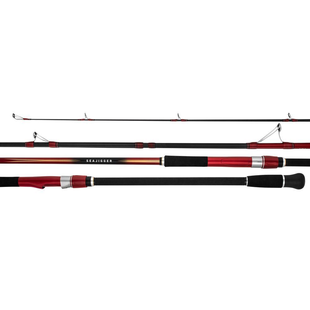 Daiwa 23 SEAJIGGER 1002ML 10' Spin Rod