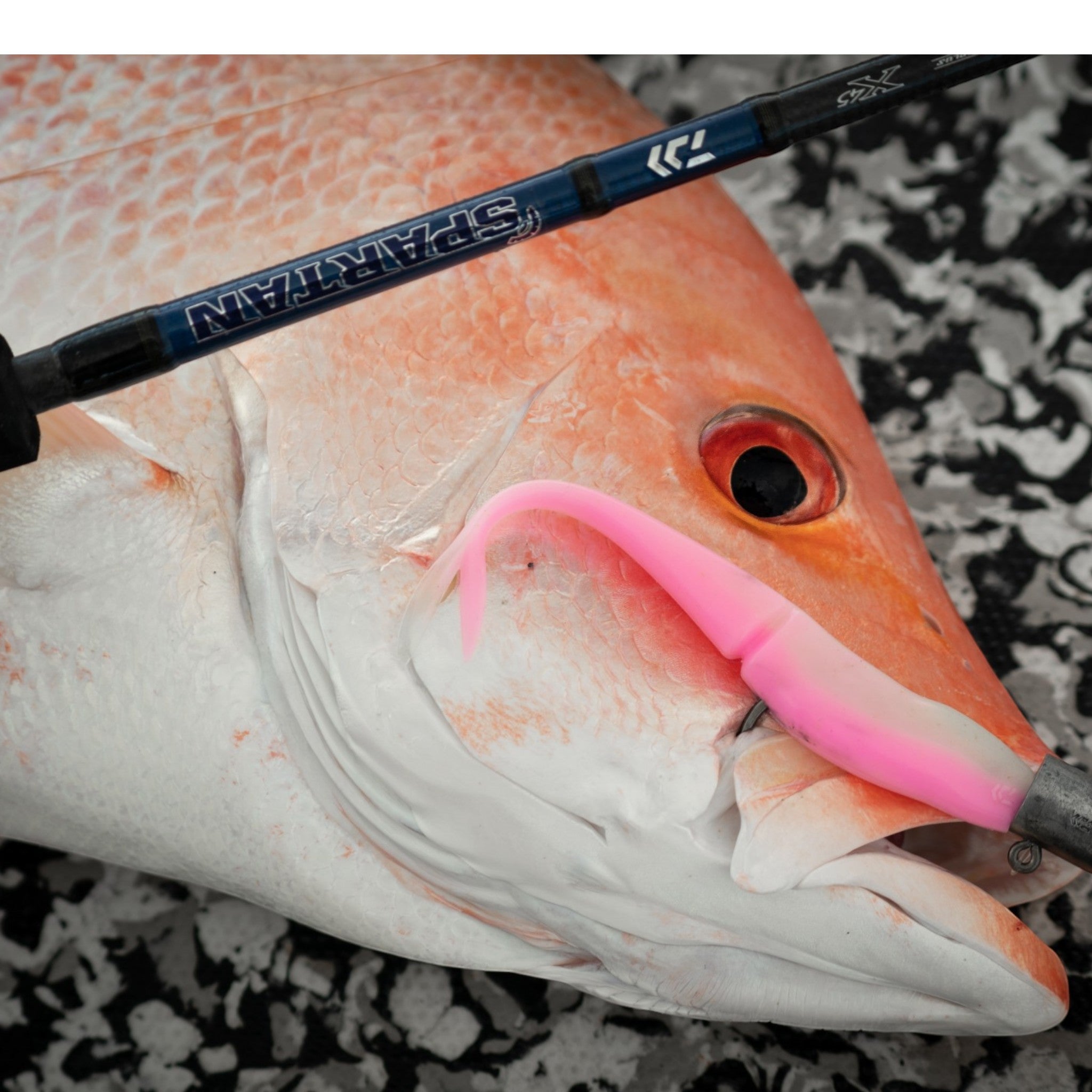 Daiwa Bait Junkie Heavy Jig Head