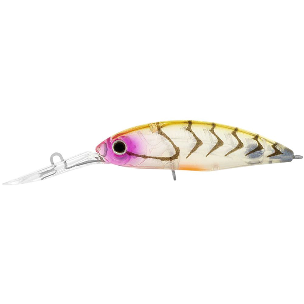 Daiwa Infeet Spike 53 Lure
