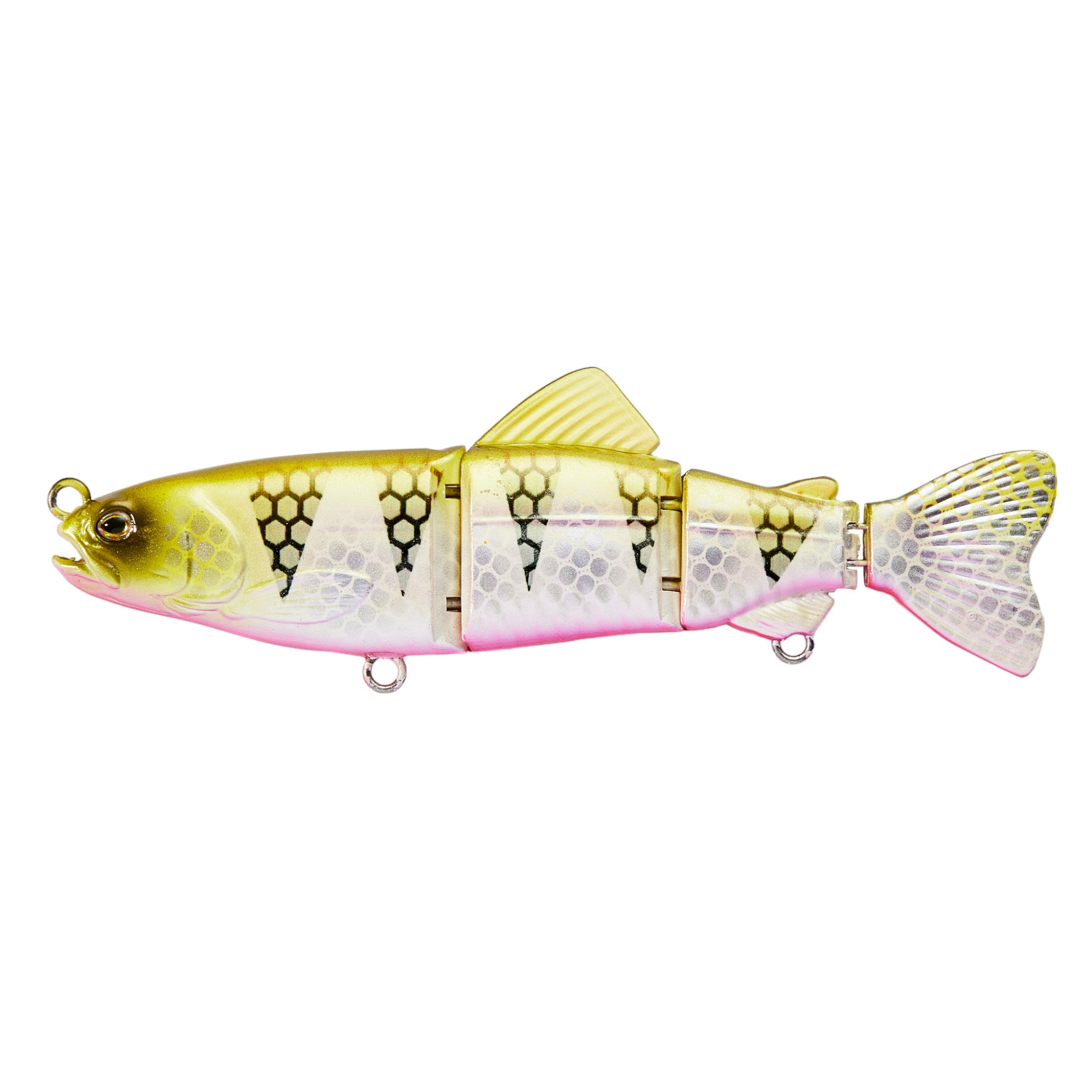 Live Native Chella Swim 165 Swim Bait Lure