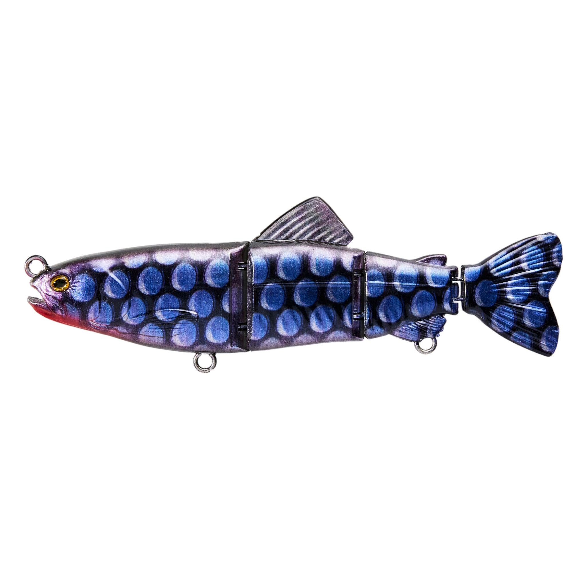 Live Native Chella Swim 165 Swim Bait Lure