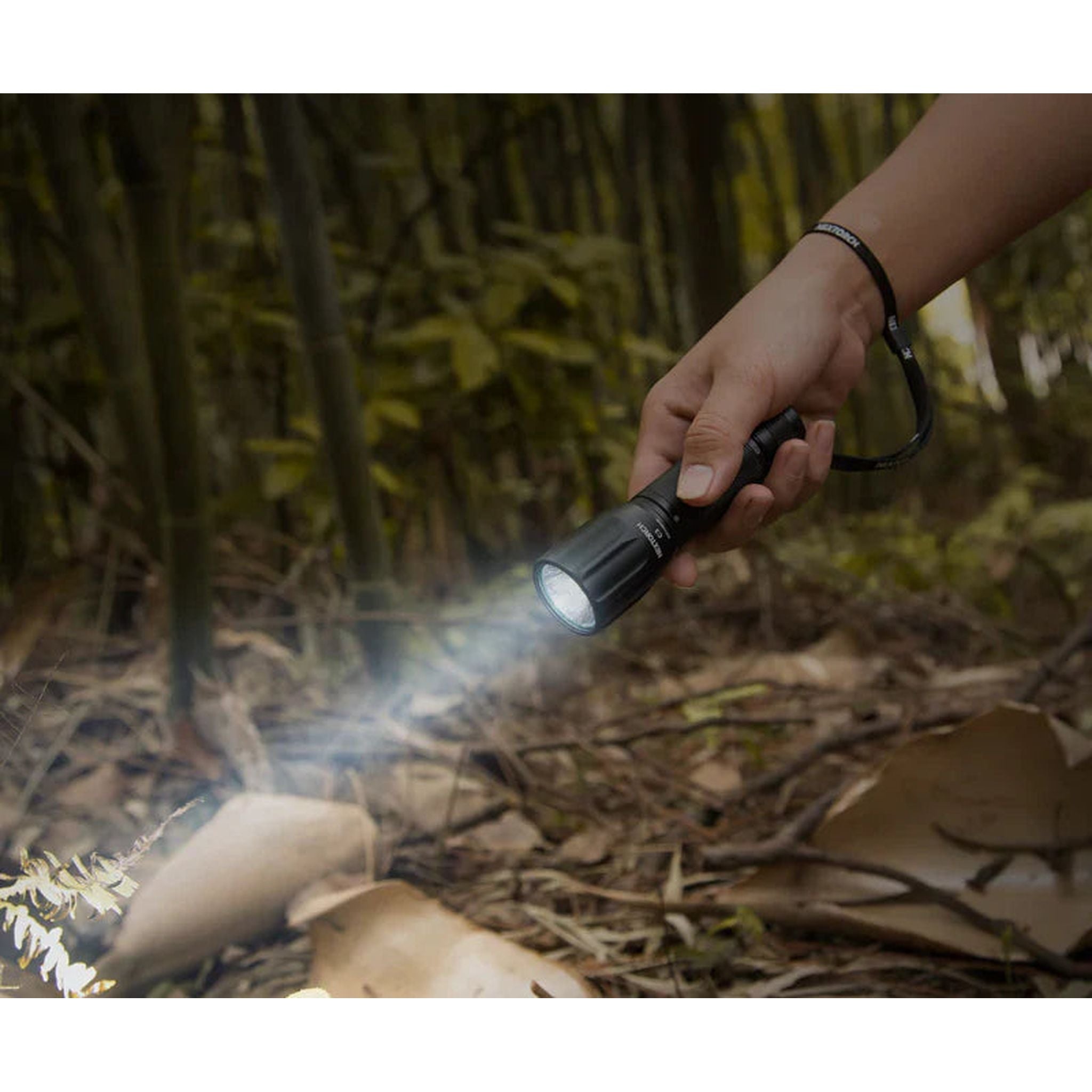 Nextorch High Performance Torch