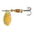 BrownTrout