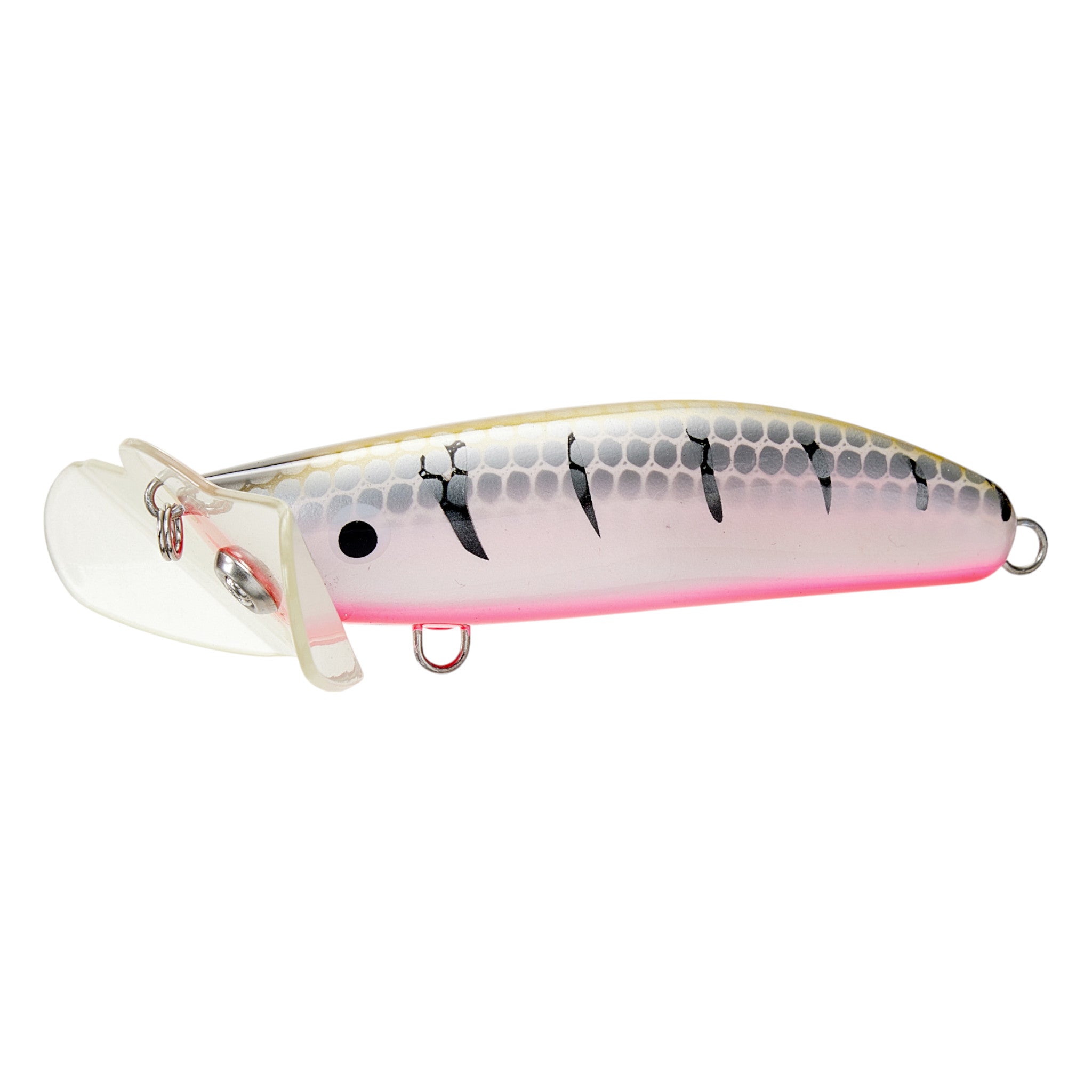 Live Native SkuttleButt Surface Lure 70mm