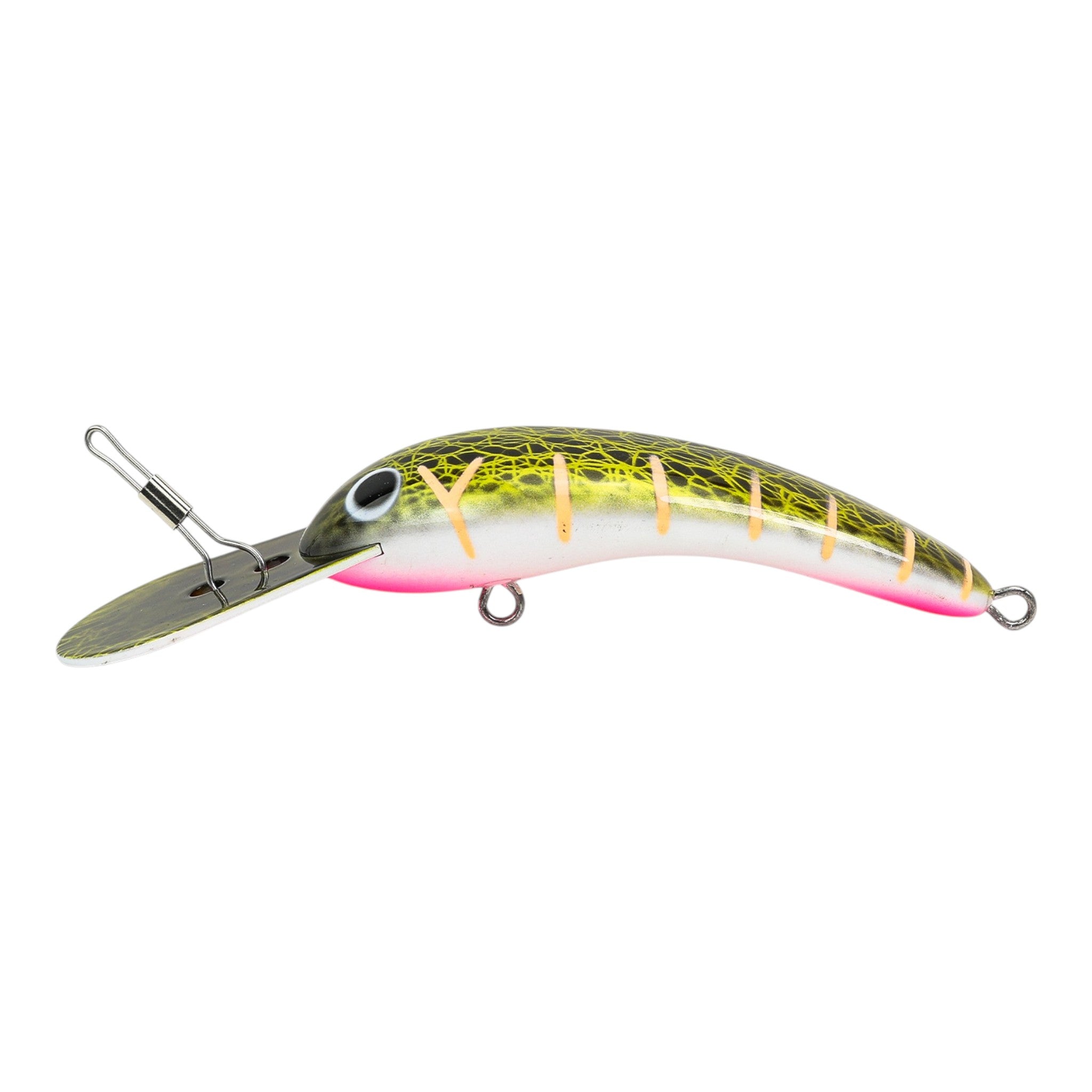 Live Native Woggaleye 130 Hard Body Lure