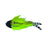 Budgie