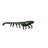 Black Amata