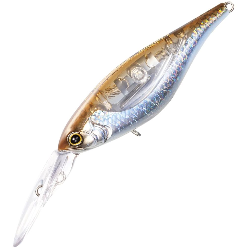Shimano Bantam Enber 60Sp Flash Boost Hardbody Lure